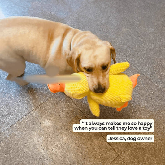Calming Duck